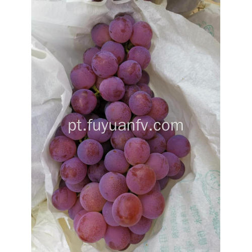 Uvas vermelhas do globo de Yunnan